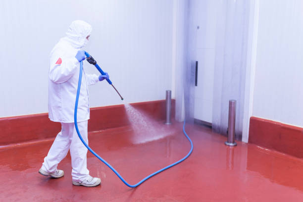 Best Boat and Dock Cleaning  in Alton, TX